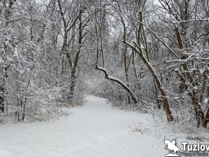 На Новочеркасск идет морозный атмосферный фронт