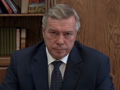 Губернатор Василий Голубев ужесточил порядок въезда на Дон из новых российских регионов