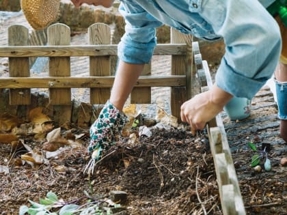 Подготовка участка к зиме: советы специалистов
