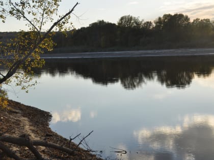 Рыбак у парома выловил… утопленника