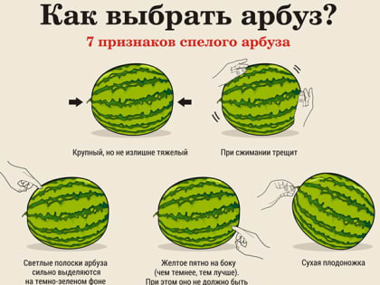 В Ростовской области уже можно покупать арбузы и дыни