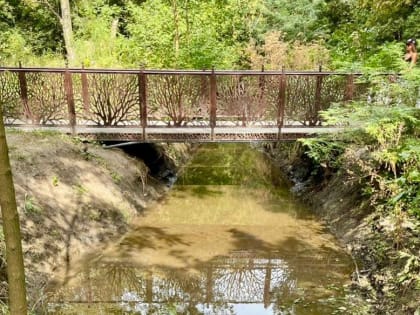 Большую Черепаху в Таганроге чистили вручную