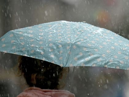 На Дон придут туман, дожди и похолодание до 0 градусов