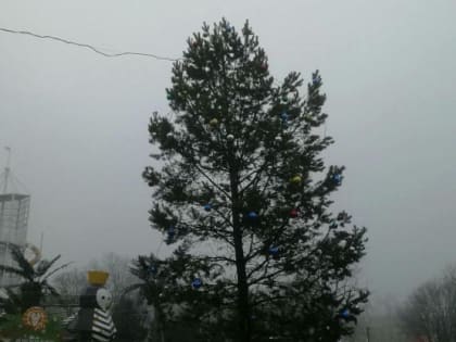 Ксения Собчак раскритиковала новогоднюю елку в парке Плевен в Ростове