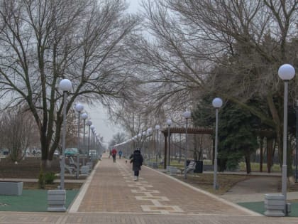 В последние дни осени и начале зимы в Целинском районе сохранится холодная, пасмурная погода. Температура воздуха опустится до минусовой