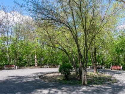 В мэрии Ростова рассказали, как благоустроят сквер Комсомольский на Западном