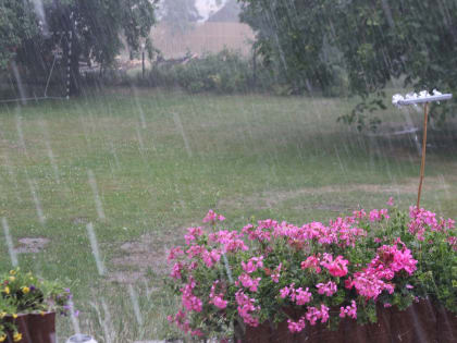 Волгодонску завтра обещают ливень