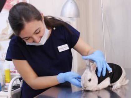 На майских праздниках изменится режим работы поликлиник Ростова