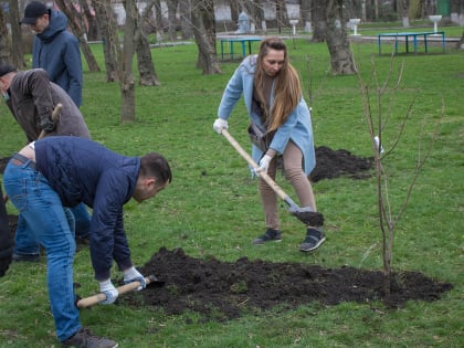 За высаженными деревьями будут ухаживать, пообещал ростовский градоначальник