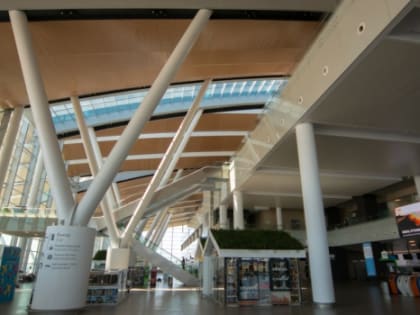 Почти 300 млн рублей получит ростовский аэропорт «Платов» из-за ограничения полетов