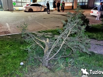 В Новочеркасске иномарка на огромной скорости врезалась в здание, видео