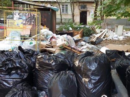 Ростовчанка: “Надоело жить в свинарнике!”