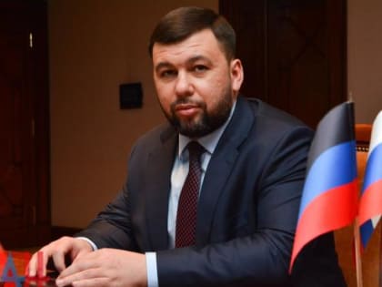 Пушилин: охранять границу между Ростовской областью и ДНР могут бойцы Росгвардии