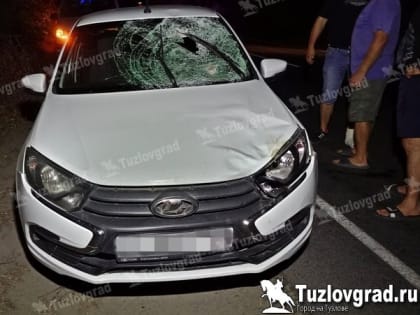 Безопасность пешеходов в Новочеркасске: тревожные цифры ДТП