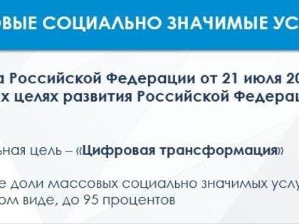 О массовых социально значимых услугах