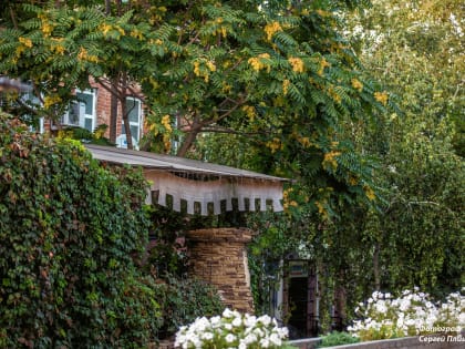 Погода в Таганроге 23 августа: самый жаркий день недели