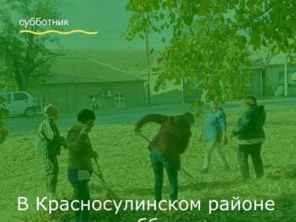 Сотрудники и волонтеры выходят на благоустройство городских парков и скверов