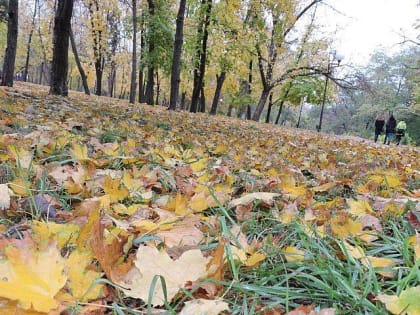 Похолодание и небольшие дожди обещают шахтинцам