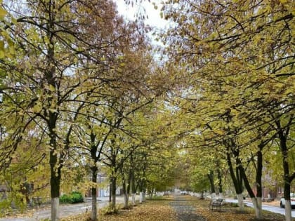 Ветрено и пасмурно будет в Шахтах