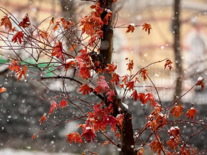 На выходных в Ростовской области ожидается гололедица