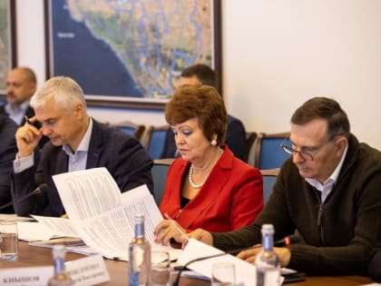 Опыт донского региона по внутреннему госфинконтролю востребован коллегами из регионов Юга России