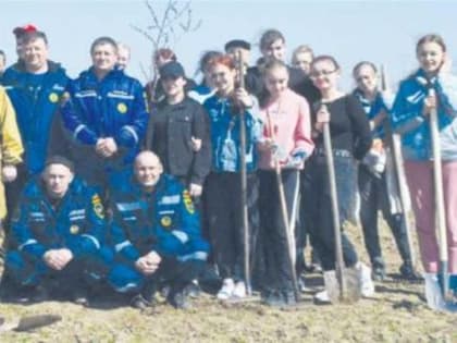 Сад памяти будет цвести