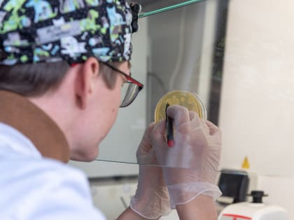 Ученый ДГТУ получил грант Российского научного фонда на исследование сальмонеллеза