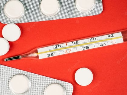 В Ростовской области закончилась эпидемия ОРВИ