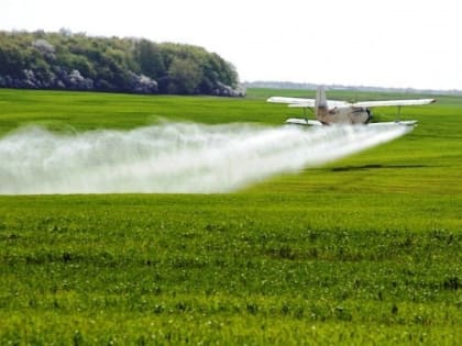 Ростовчанка: нас травили всегда!