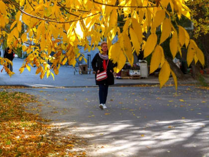 В Ростове на этой неделе ожидается ясная и прохладная погода