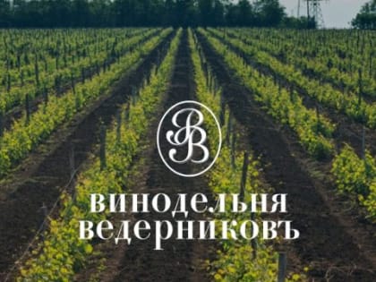 “Золотовский красностоп” “Винодельни Ведерников” из Константиновского района стал победителем рейтинга «100 лучших российских вин – 2022» от FСongress