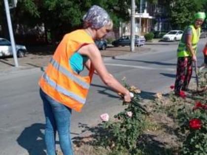 В Таганроге продолжается благоустройство городских территорий