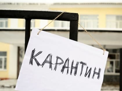 В РОСТОВСКОЙ ОБЛАСТИ ВВЕЛИ КАРАНТИН ПО ГРИППУ