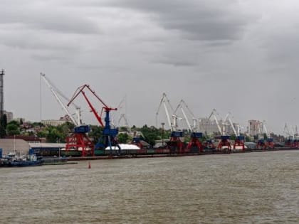 Климатолог Иошпа: в Ростове потепление сменится похолоданием и осадками к 9 мая