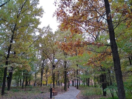 Погода в Таганроге 29 октября: переменная облачность