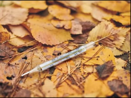 Академик РАН Александр Горелов рассказал, от чего прививаться этой осенью