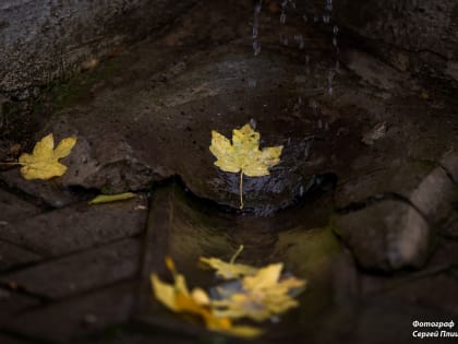 Погода в Таганроге 5 сентября: прохладно, обещают дождь
