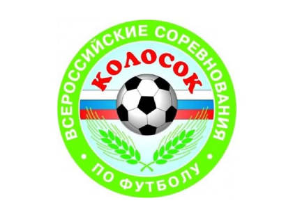 Колосок 2022: Ростовская область — итоги среди детских сельских команд