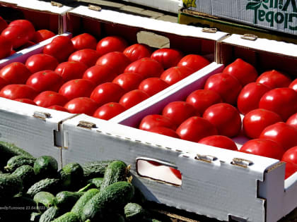 Первая осенняя ярмарка в Волгодонске пройдет 3 сентября на площади Победы