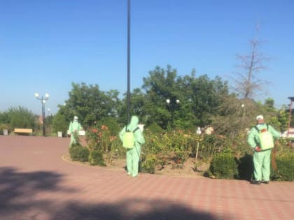 В Батайске продолжается акарицидная обработка территорий парков и скверов