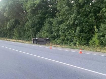 В Ростовской области арестован виновник пьяного ДТП со смертельным исходом