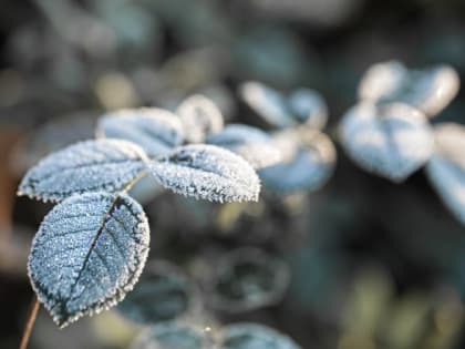 Похолодание ожидается в Ростовской области