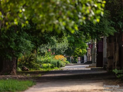 Погода в Таганроге 27 июня: прохладнее после ночного дождя