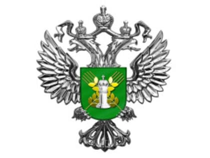 Вступление в силу ФЗ от 28.06.2022 №221