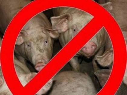 Профилактика АЧС