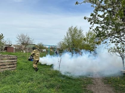 В Азовском районе после того, как двоих детей укусили клещи, начали профилактические обработки