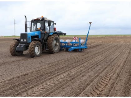 Посеешь в срок – урожай будет высок!