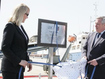 Губернатор Ростовской области попросил Путина взять под контроль экспорт зерна