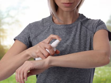 Ростовчан снова начали одолевать комары