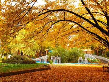 В выходные в Ростов вернётся лето